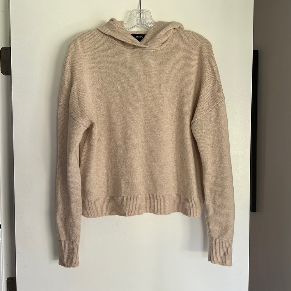 THEORY HOODIE